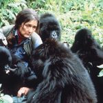 Dian Fossey Grave Hike