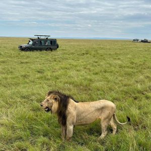 Read more about the article Samburu National Reserve