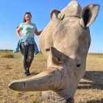 Ol Pejeta Conservancy