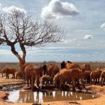 Visit Kenya in 2025