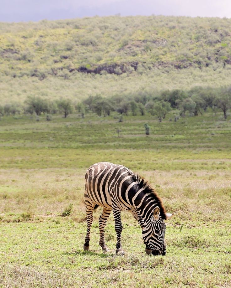 Read more about the article Hell’s Gate National Park