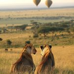 Masai Mara