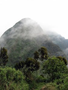 Read more about the article Climbing the Virunga Volcanoes in Mgahinga Gorilla National Park