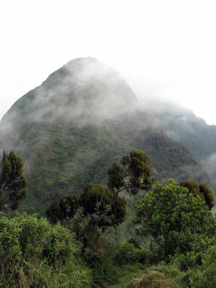 You are currently viewing Climbing the Virunga Volcanoes in Mgahinga Gorilla National Park