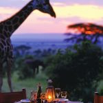 Why Rwanda is the Ultimate Destination for Private Safaris