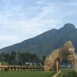 Things to Do in Musanze