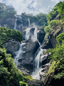 Read more about the article Udzungwa Mountains National Park