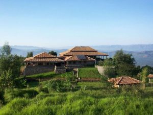 Read more about the article Luxury Lodges in Nkuringo Sector