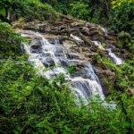 Amani Nature Forest Reserve