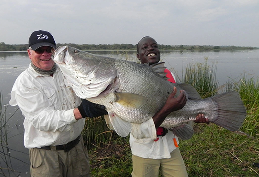 You are currently viewing The Most Caught Fish in Uganda