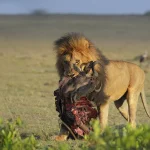 Best Travel Experiences in East Africa