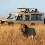 20 Day Combined East African Safari