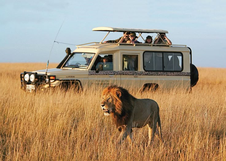 You are currently viewing 20 Day Combined East African Safari