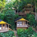 How many tracking locations does Bwindi have?