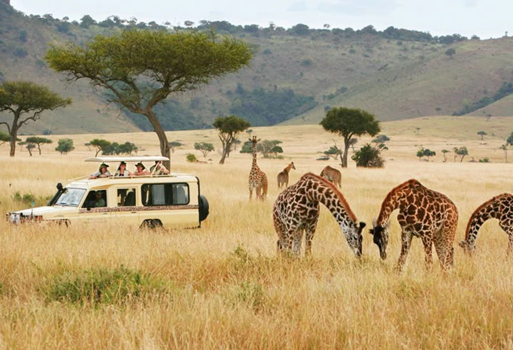 You are currently viewing Gorilla Trekking and Masai Mara Safari