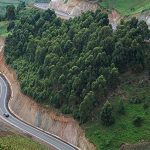 How far is from Entebbe to Bwindi Impenetrable National Park