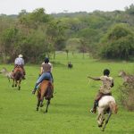 Horse Riding in Lake Mburo National Park