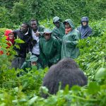 Gorilla tours in Uganda