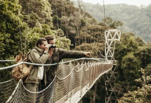 Read more about the article Gorilla Tours and Safari in Rwanda    