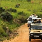 Savannah Parks in Uganda