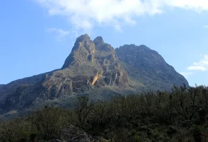 Read more about the article Rwenzori Mountains Hiking Tours