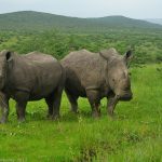 How many days do I need to do a tour in East Africa?