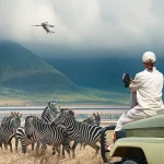 Why book a Safari in Low season
