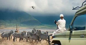 Read more about the article Why book a Safari in Low season