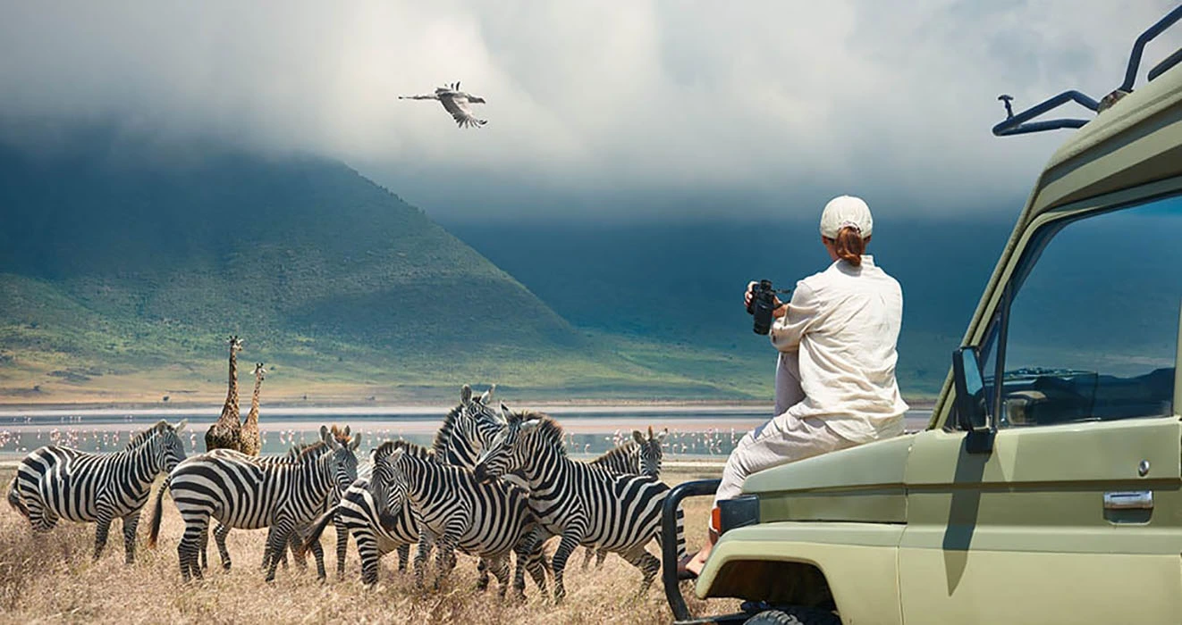 You are currently viewing Why book a Safari in Low season