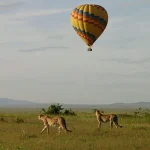 Uganda Luxury Safaris