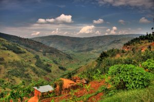 Read more about the article What are the major attractions in Uganda and Rwanda? 