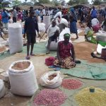 Exploring local markets and traditions in Uganda.