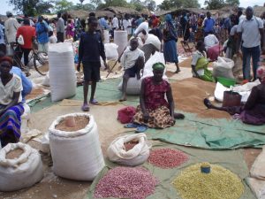 Read more about the article Exploring local markets and traditions in Uganda.