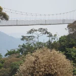 Nyungwe Chimpanzee trekking