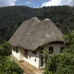 Top 10 Luxury Lodges in Bwindi Impenetrable National Park