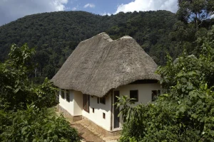 Read more about the article Top 10 Luxury Lodges in Bwindi Impenetrable National Park