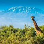 Can you climb Kilimanjaro without a guide?