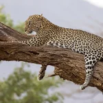 Top Places to Visit in East Africa in 2025