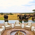 How can I arrange a trip in Africa?