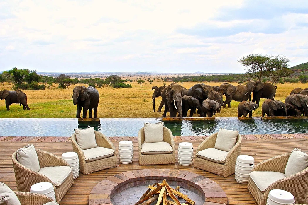 You are currently viewing How can I arrange a trip in Africa?