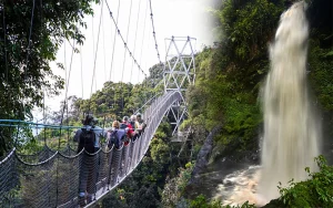 Read more about the article How hard is canopy walk in Rwanda?