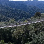 How much is a canopy walk in Nyungwe National Park