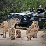 Top 5 game reserves in East Africa