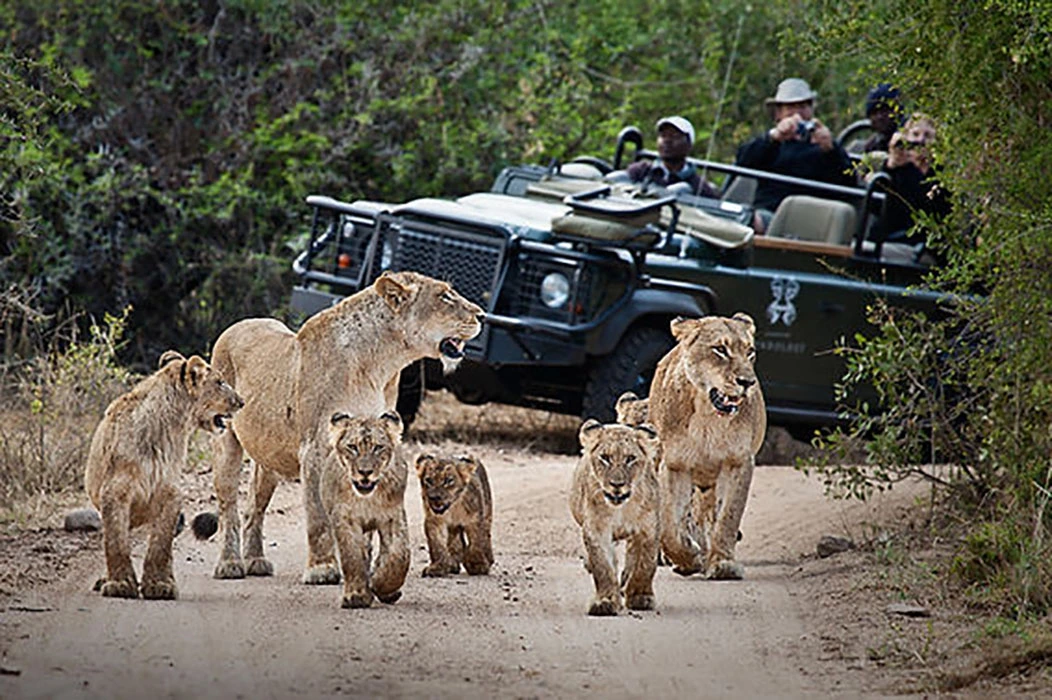 You are currently viewing Top 5 game reserves in East Africa