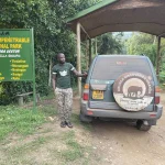 How to book a safari in Rwanda