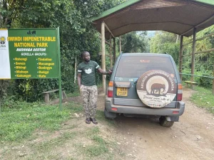 Read more about the article How to book a safari in Rwanda