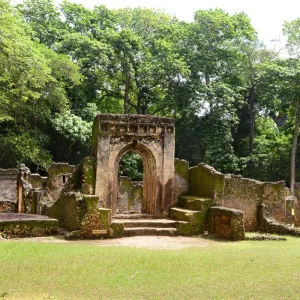 Read more about the article Archeological sites in East Africa