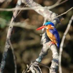 Photography Tours in Rwanda