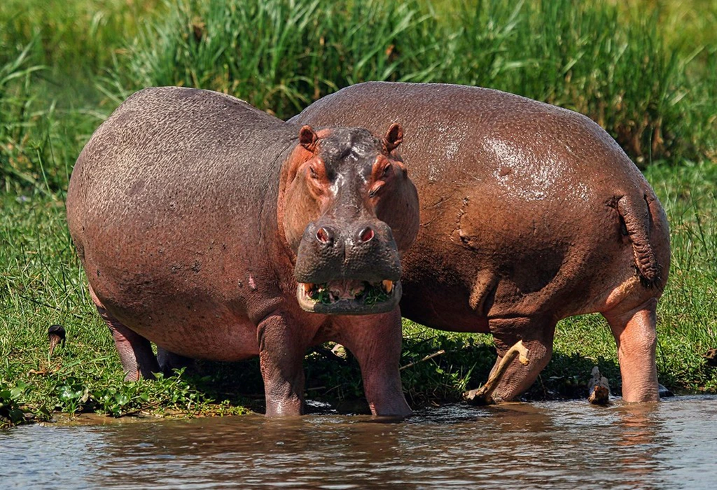 You are currently viewing Photography Tours in Uganda