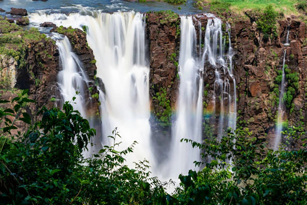 You are currently viewing Murchison Falls Safari Holidays